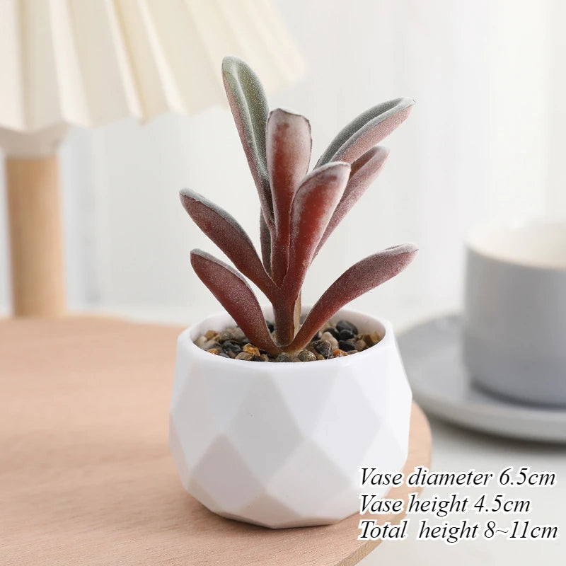 Mini Artificial Succulent Plants Set Realistic Fake Cactus Bonsai for Indoor Home Desktop Low Maintenance Lifelike Ornament