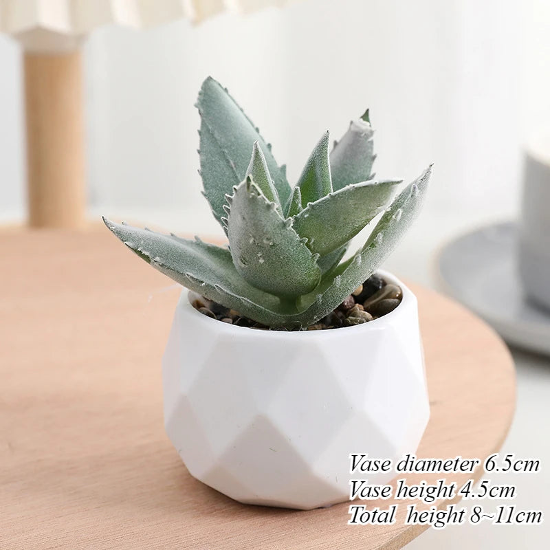 Mini Artificial Succulent Plants Set Realistic Fake Cactus Bonsai for Indoor Home Desktop Low Maintenance Lifelike Ornament