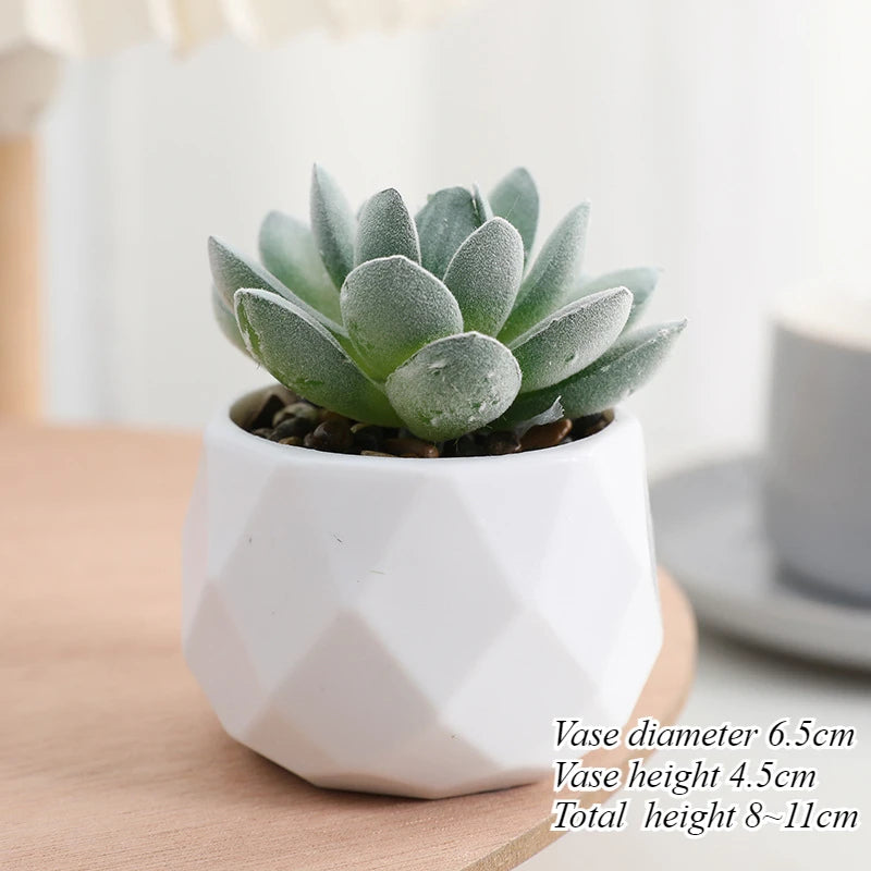 Mini Artificial Succulent Plants Set Realistic Fake Cactus Bonsai for Indoor Home Desktop Low Maintenance Lifelike Ornament