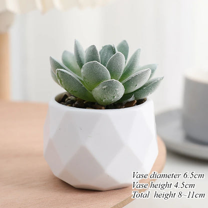 Mini Artificial Succulent Plants Set Realistic Fake Cactus Bonsai for Indoor Home Desktop Low Maintenance Lifelike Ornament