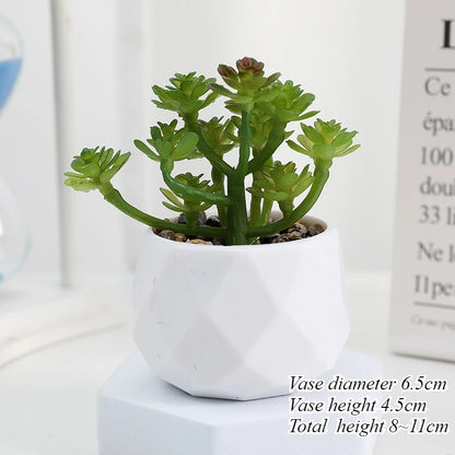 Mini Artificial Succulent Plants Set Realistic Fake Cactus Bonsai for Indoor Home Desktop Low Maintenance Lifelike Ornament