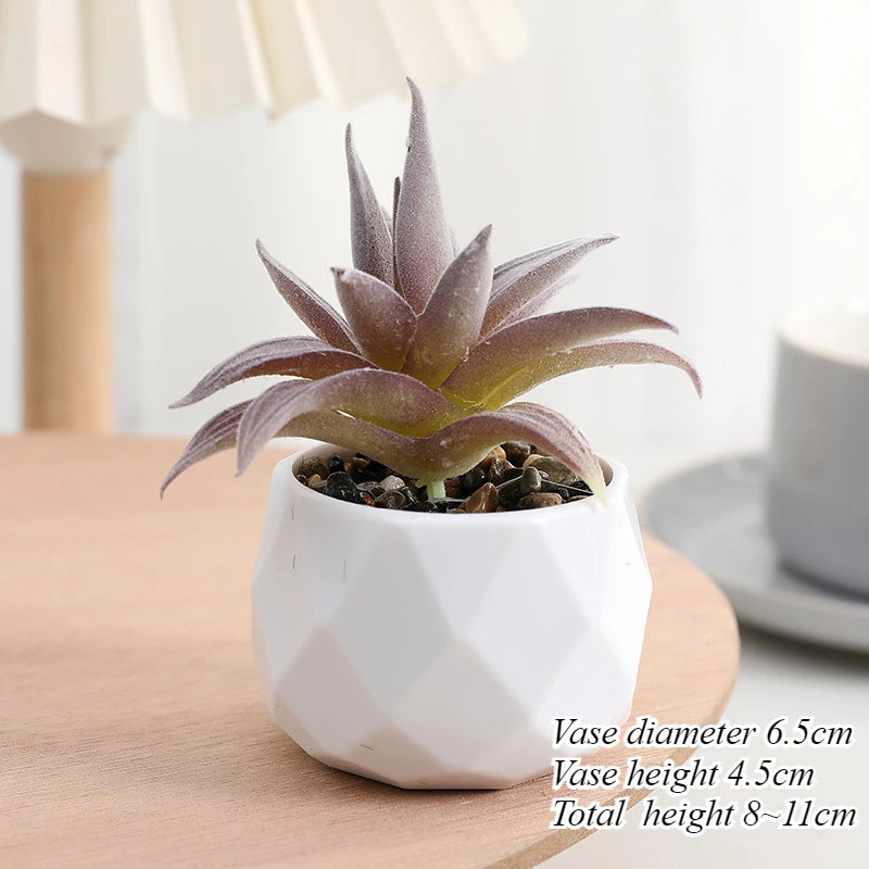 Mini Artificial Succulent Plants Set Realistic Fake Cactus Bonsai for Indoor Home Desktop Low Maintenance Lifelike Ornament