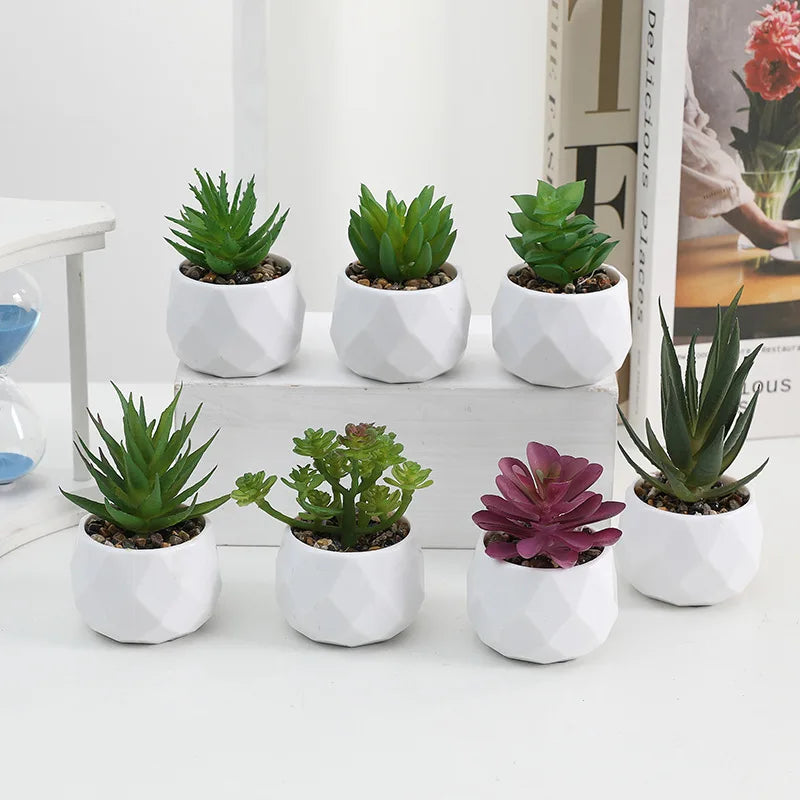 Mini Artificial Succulent Plants Set Realistic Fake Cactus Bonsai for Indoor Home Desktop Low Maintenance Lifelike Ornament