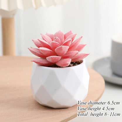 Mini Artificial Succulent Plants Set Realistic Fake Cactus Bonsai for Indoor Home Desktop Low Maintenance Lifelike Ornament