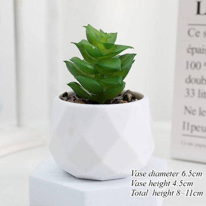 Mini Artificial Succulent Plants Set Realistic Fake Cactus Bonsai for Indoor Home Desktop Low Maintenance Lifelike Ornament