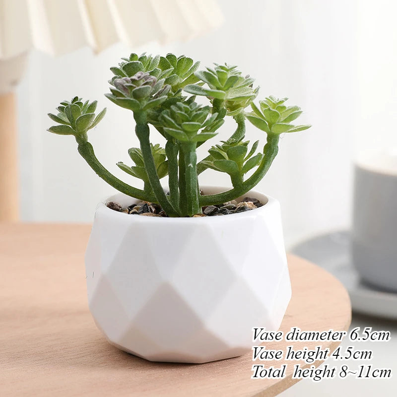 Mini Artificial Succulent Plants Set Realistic Fake Cactus Bonsai for Indoor Home Desktop Low Maintenance Lifelike Ornament