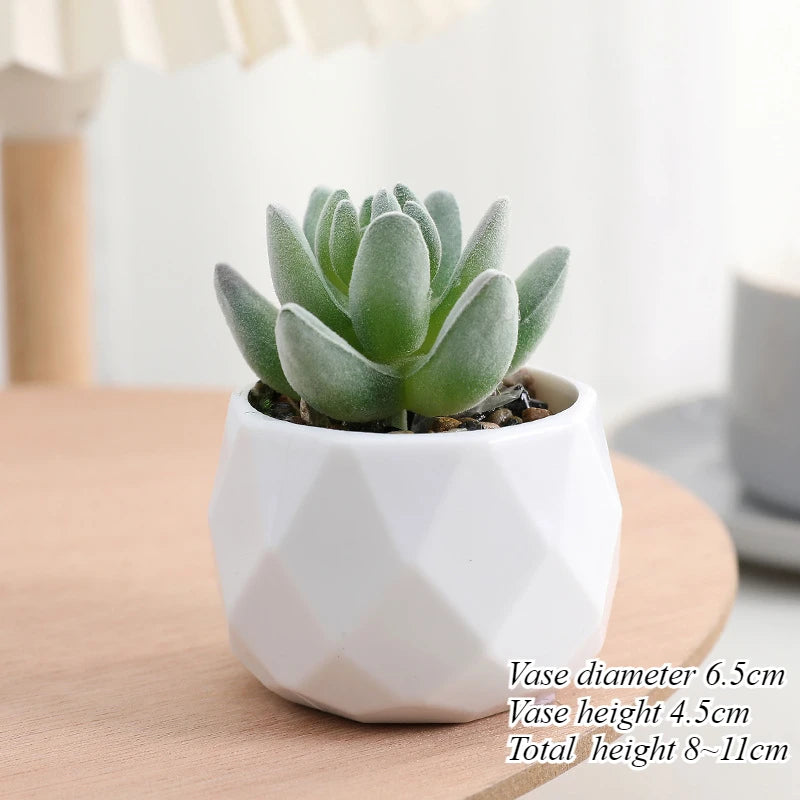 Mini Artificial Succulent Plants Set Realistic Fake Cactus Bonsai for Indoor Home Desktop Low Maintenance Lifelike Ornament