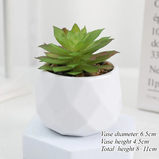 Mini Artificial Succulent Plants Set Realistic Fake Cactus Bonsai for Indoor Home Desktop Low Maintenance Lifelike Ornament