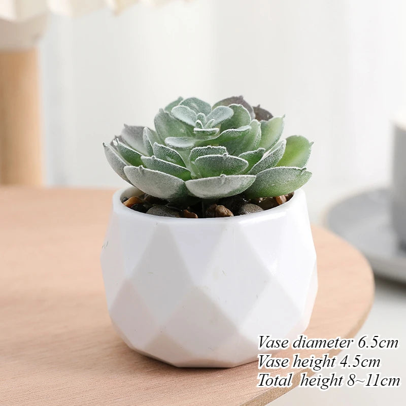 Mini Artificial Succulent Plants Set Realistic Fake Cactus Bonsai for Indoor Home Desktop Low Maintenance Lifelike Ornament